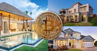 Empower Your Portfolio: The Case for Safe Crypto Investments